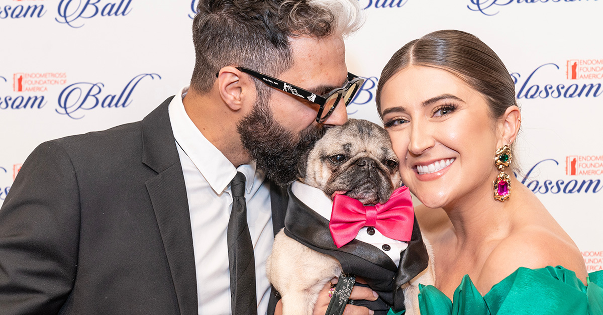 15 Famous Celebrity Pets